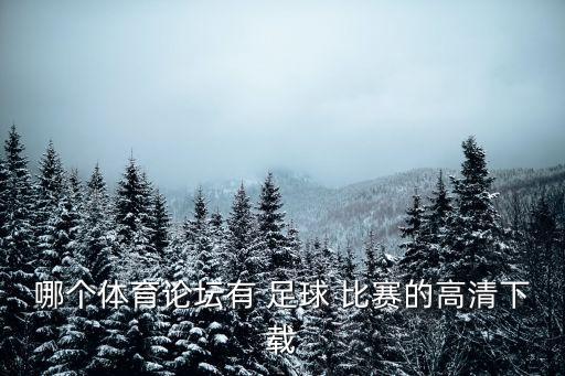 昨天延邊足球比賽,昨天足球比賽比分結(jié)果完整