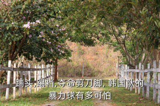 踹頭,踢襠,奪命剪刀腳, 韓國隊的暴力球有多可怕