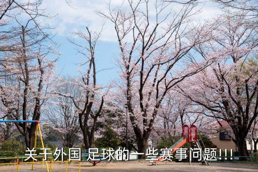 關(guān)于外國(guó) 足球的一些賽事問題!!!