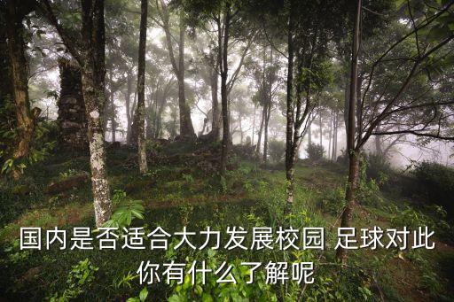 國內是否適合大力發(fā)展校園 足球對此你有什么了解呢