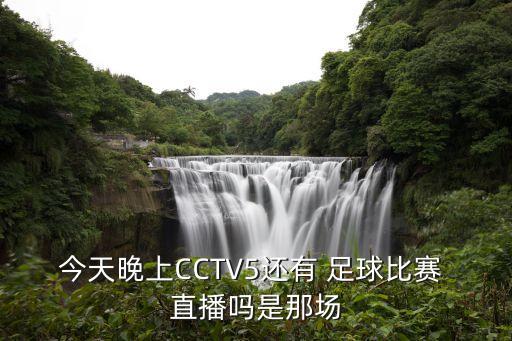 今天晚上CCTV5還有 足球比賽 直播嗎是那場(chǎng)