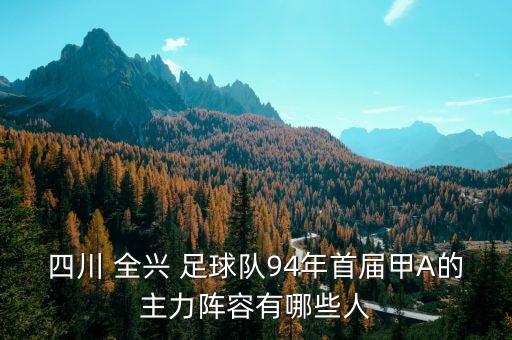 四川 全興 足球隊(duì)94年首屆甲A的主力陣容有哪些人
