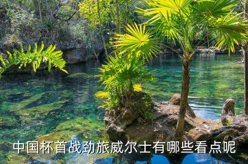 中國杯首戰(zhàn)勁旅威爾士有哪些看點(diǎn)呢