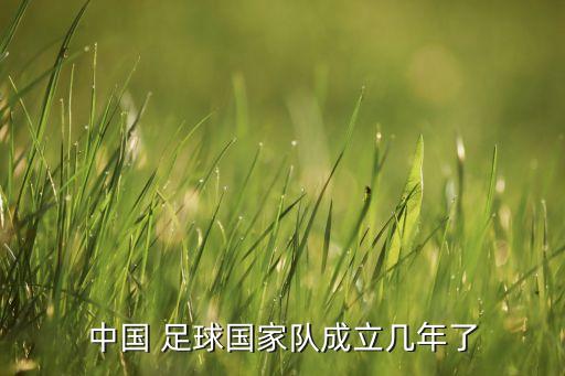 中國 足球國家隊成立幾年了