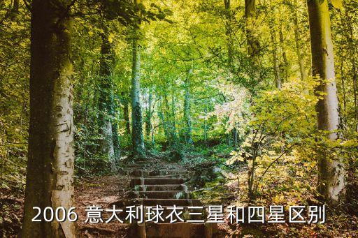 2006 意大利球衣三星和四星區(qū)別