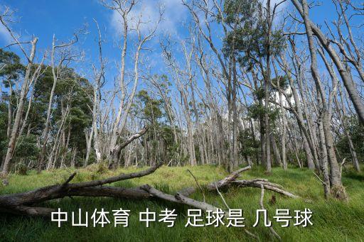 中山體育 中考 足球是 幾號球