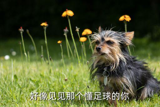 好像見(jiàn)見(jiàn)那個(gè)懂足球的你
