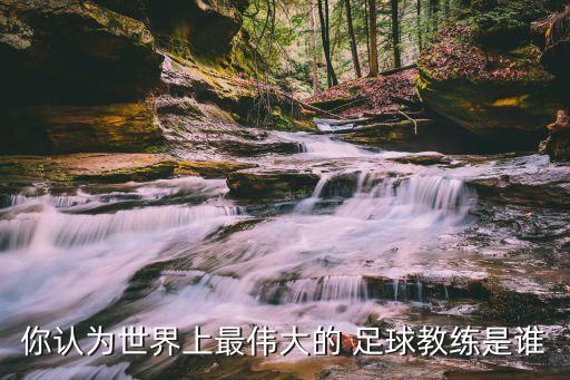你認(rèn)為世界上最偉大的 足球教練是誰