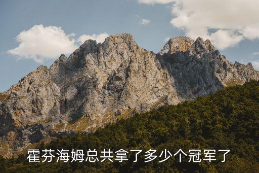 霍芬海姆總共拿了多少個(gè)冠軍了