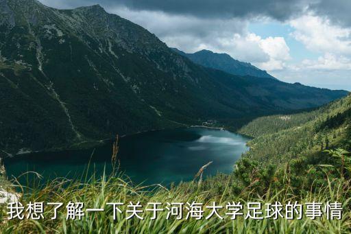我想了解一下關(guān)于河海大學(xué)足球的事情