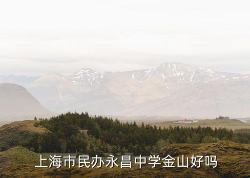 上海市民辦永昌中學(xué)金山好嗎