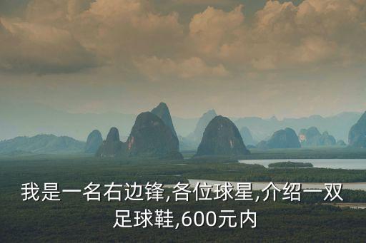 我是一名右邊鋒,各位球星,介紹一雙 足球鞋,600元內