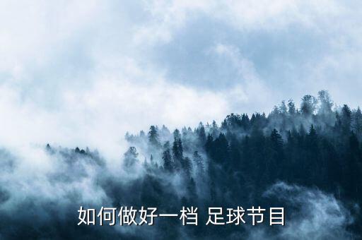 孫雷足球之夜圖片,足球之夜主持人孫雷