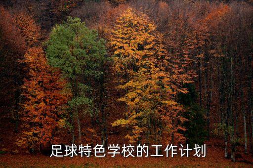  足球特色學(xué)校的工作計劃