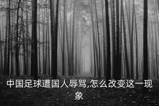 中國足球遭國人辱罵,怎么改變這一現象