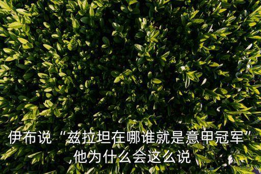 伊布說“茲拉坦在哪誰就是意甲冠軍”,他為什么會這么說