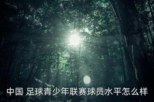 中國 足球青少年聯(lián)賽球員水平怎么樣