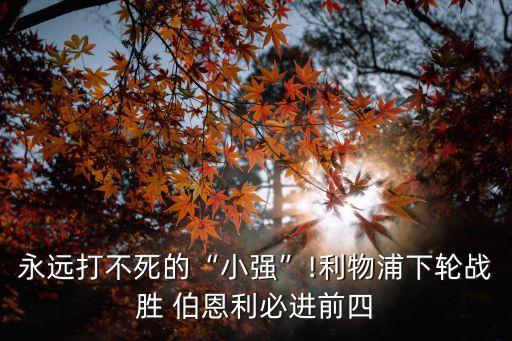 永遠打不死的“小強”!利物浦下輪戰(zhàn)勝 伯恩利必進前四
