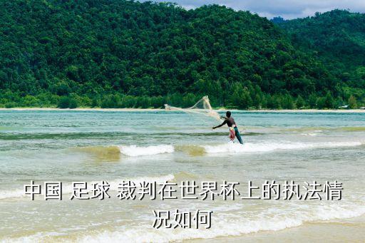 中國 足球 裁判在世界杯上的執(zhí)法情況如何