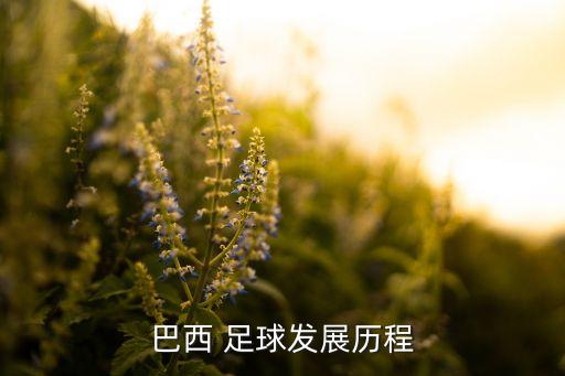巴西 足球發(fā)展歷程