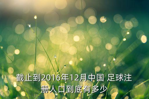 截止到2016年12月中國 足球注冊人口到底有多少