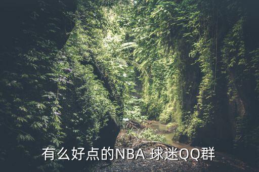有么好點的NBA 球迷QQ群