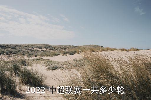 中超足球比賽記錄表,2022中超比賽場(chǎng)地