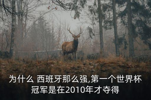 為什么 西班牙那么強(qiáng),第一個(gè)世界杯冠軍是在2010年才奪得