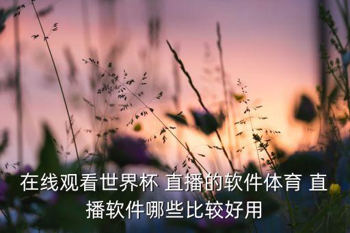 在線觀看世界杯 直播的軟件體育 直播軟件哪些比較好用