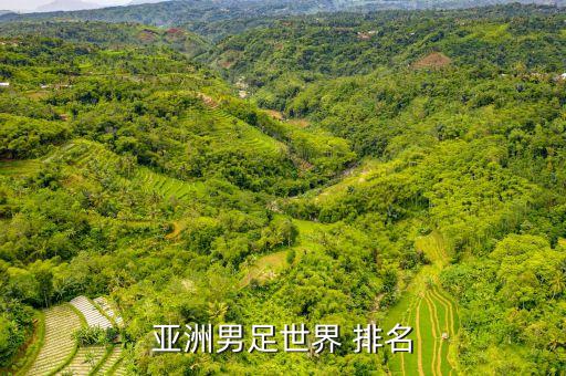 亞洲男足世界 排名
