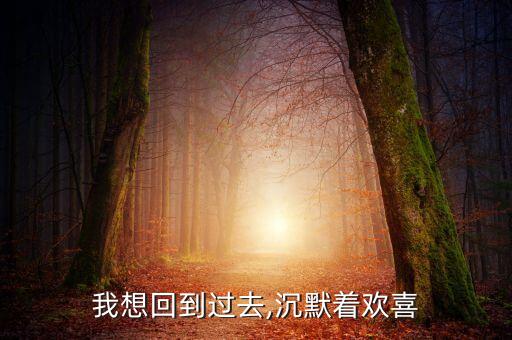 我想回到過去,沉默著歡喜