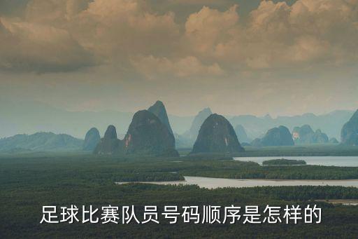 14號(hào) 足球