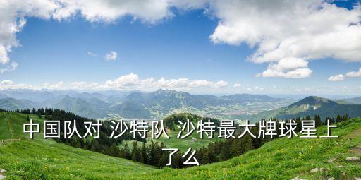 中國隊(duì)對(duì) 沙特隊(duì) 沙特最大牌球星上了么