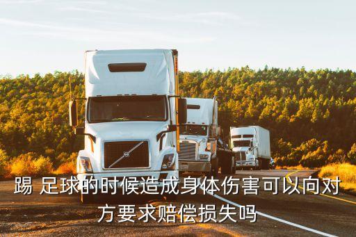 踢 足球的時候造成身體傷害可以向對方要求賠償損失嗎