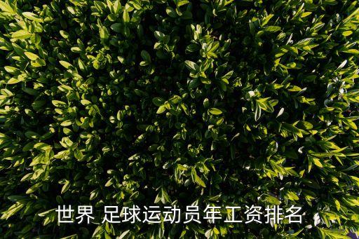 各位足球明星的薪水,法國(guó)足球明星姆巴佩薪水
