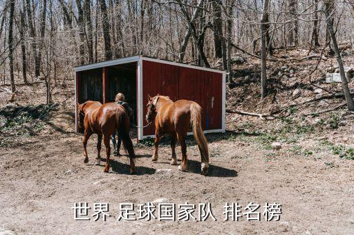 世界 足球國家隊(duì) 排名榜