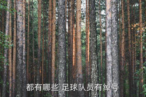 都有哪些 足球隊(duì)員有綽號(hào)