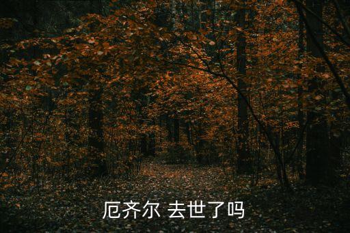 足球運(yùn)動(dòng)員在場上去世