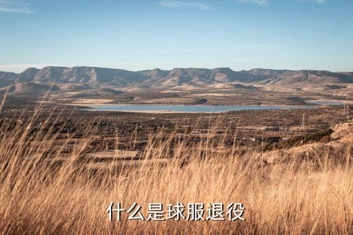 比林拉茲羅格足球俱樂部