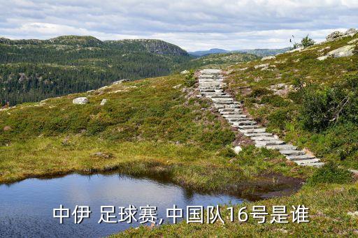  中伊 足球賽,中國隊(duì)16號(hào)是誰