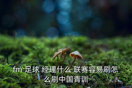 fm 足球 經(jīng)理什么 聯(lián)賽容易刷怎么刷中國青訓(xùn)