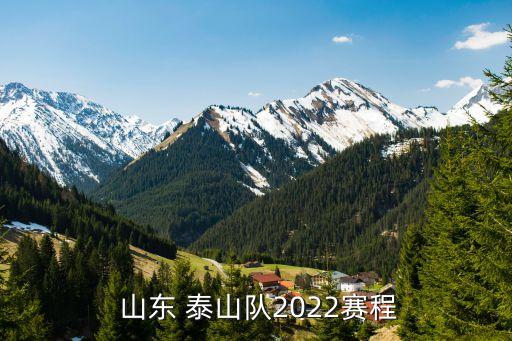  山東 泰山隊2022賽程