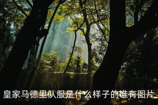 皇家馬德里隊服是什么樣子的誰(shuí)有圖片