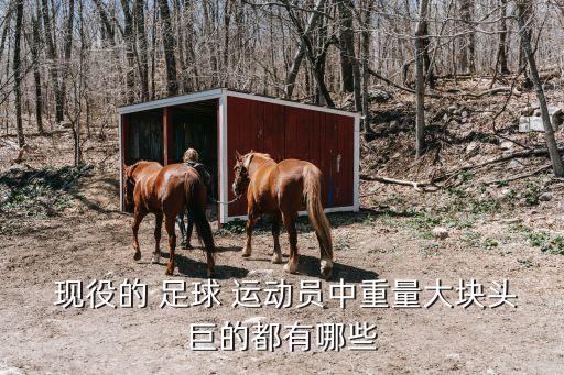  現(xiàn)役的 足球 運動員中重量大塊頭巨的都有哪些
