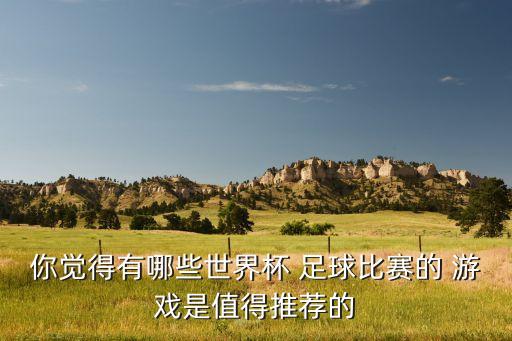 你覺得有哪些世界杯 足球比賽的 游戲是值得推薦的