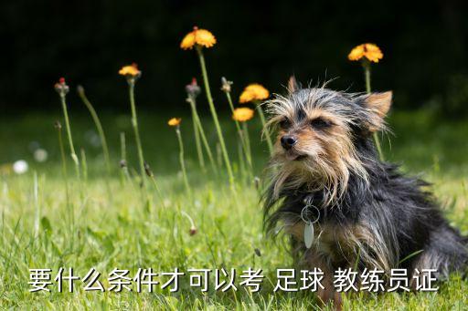 上海哪里報足球教練,上海足球教練吳金貴