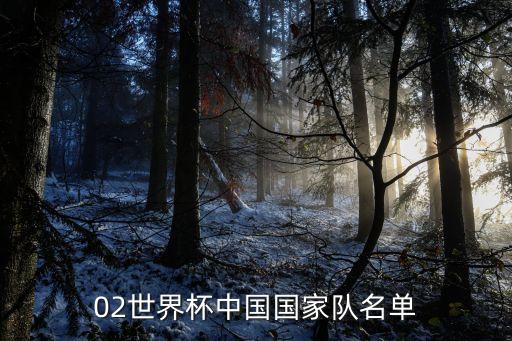 02世界杯中國國家隊名單