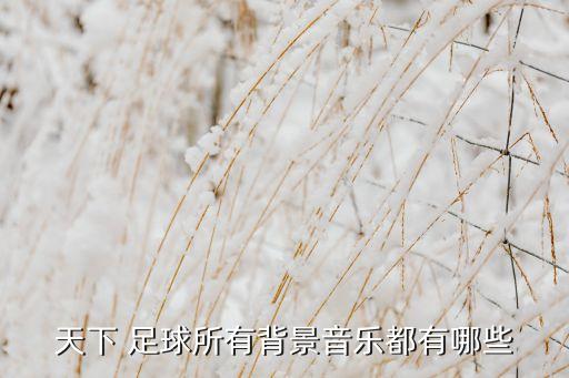 把足球送給美女,央視美女足球解說員