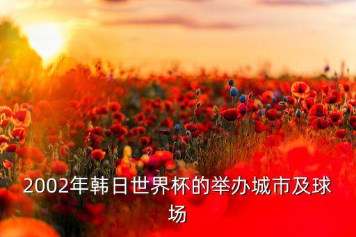 2002年韓日世界杯的舉辦城市及球場