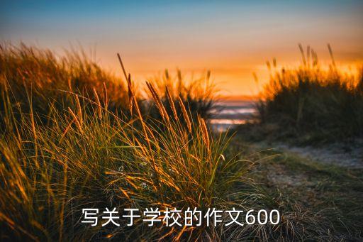 大大的足球